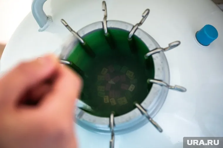 ЭКО в Зауралье делают с 2014 года