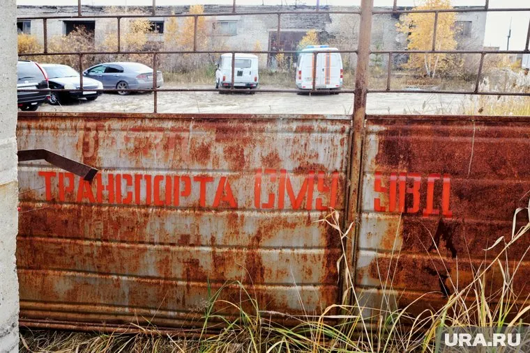 В подпольном крематории сжигали тонны биоматериалов