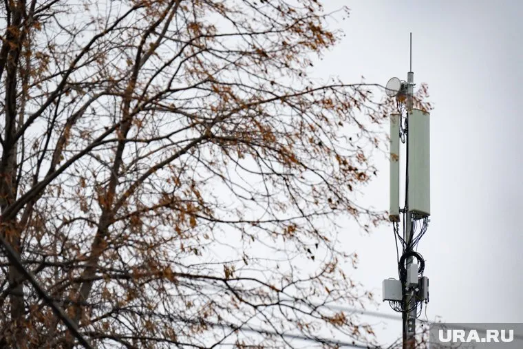 Подростки были задержаны