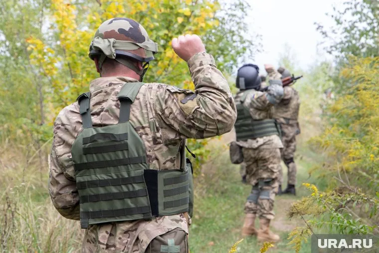 В Германии недовольны ходом украинского наступления
