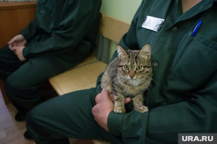 Чтобы на детской зоне были "тишь да гладь", надо всё "зачистить", а потом выстроить систему заново