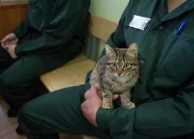 Как гасят бунты на «детских зонах»