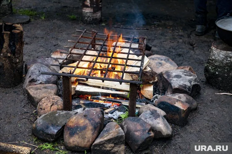 Шашлык можно жарить не ближе, чем в пяти метрах от построек, сказала Ирина Гудкова