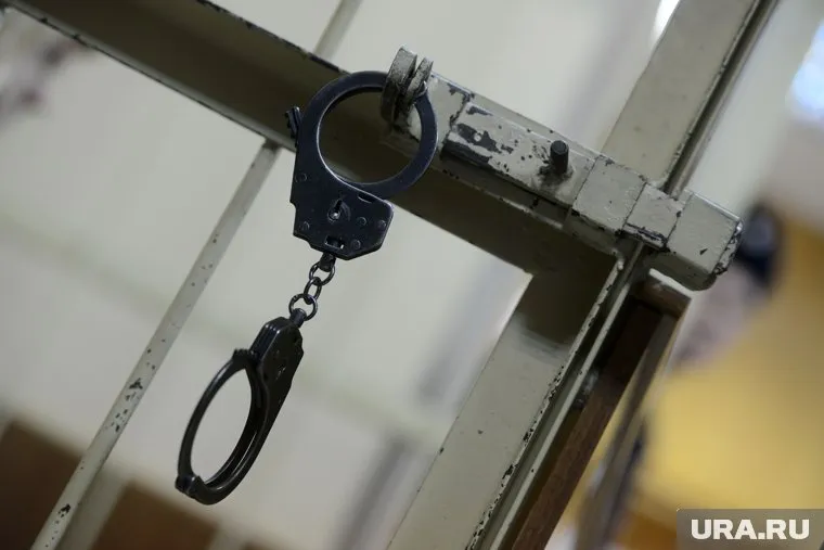 Ольгу Миримскую задержали 17 декабря