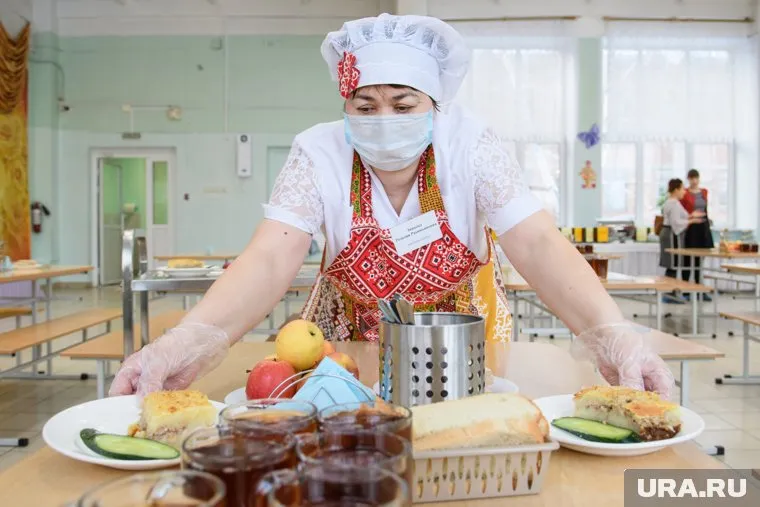 Депутаты из ЛДПР проведут рейд по школьным столовым