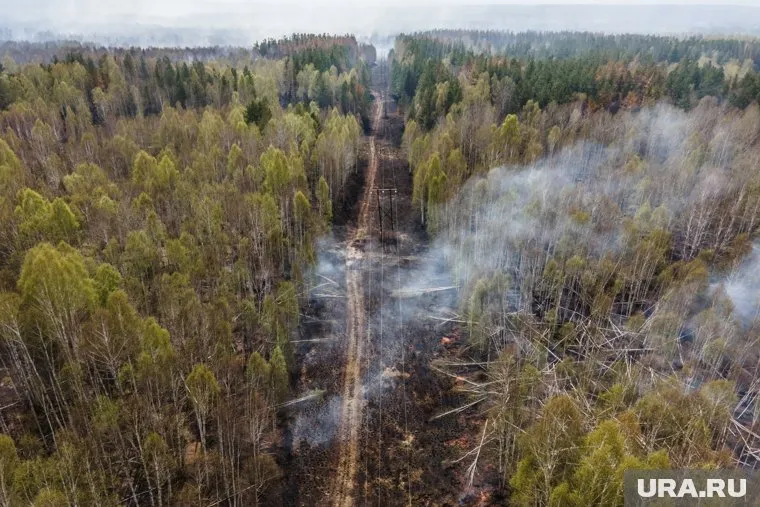 Из-за возгорания торфяников на Тюменской трассе сильное задымление