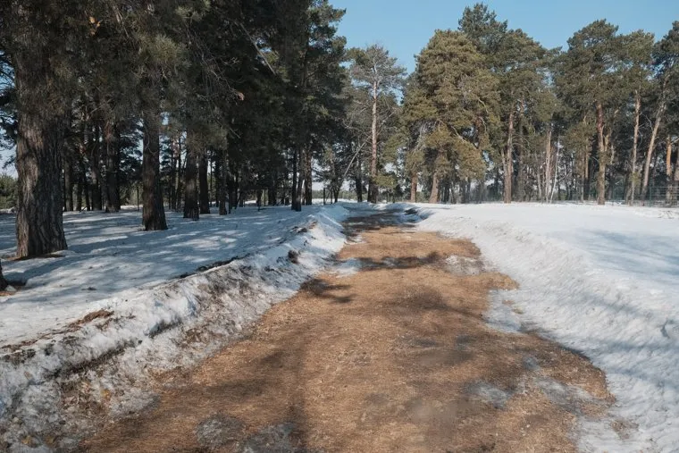Визит врио губернатора Шумкова в Притобольный район. Курган