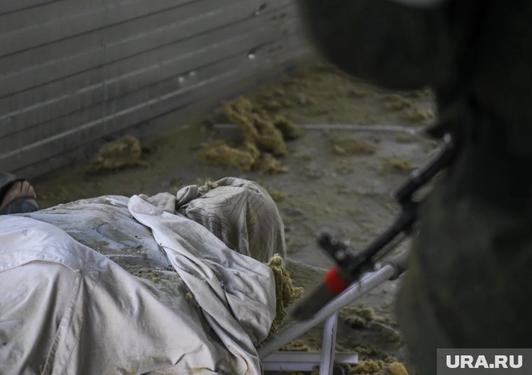 Россия и Украина обменялись телами погибших