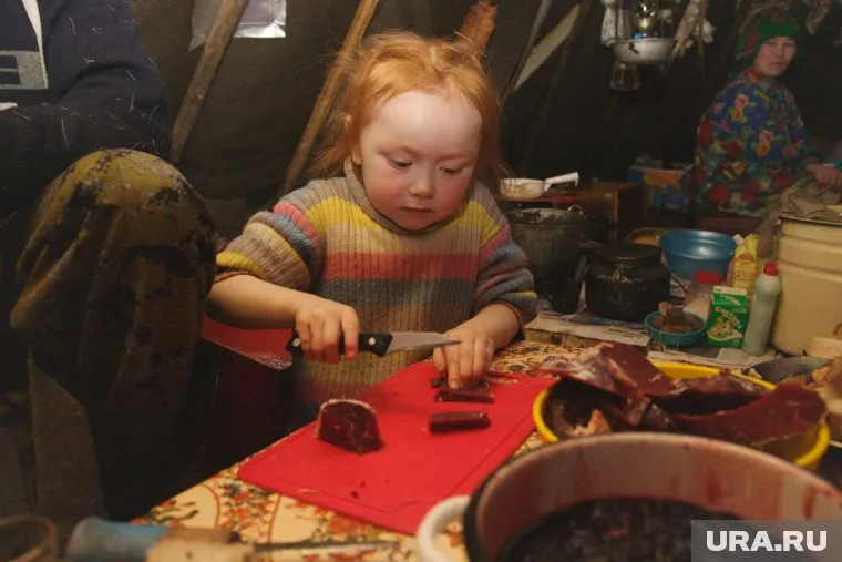 Хозяйка чума — теперь это оплачиваемая профессия