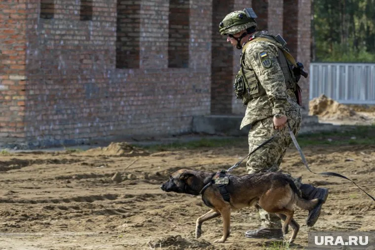Украинские бойцы уверены, что приход Трампа к власти изменит их жизнь