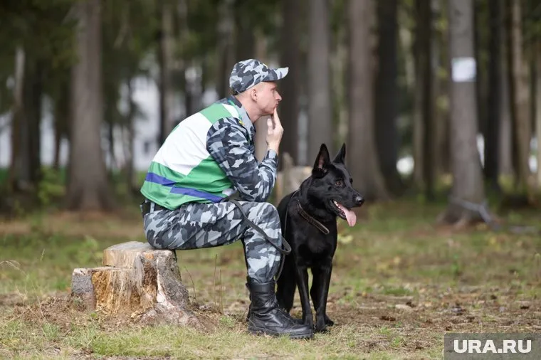 За все дни поисков пешими группами была закрыта территория более 905 кв. км, пройдено более 2560 км
