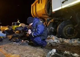 Фотография из галереи