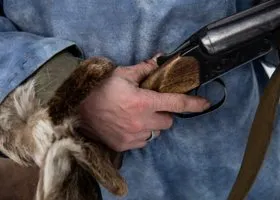 Фотография из галереи