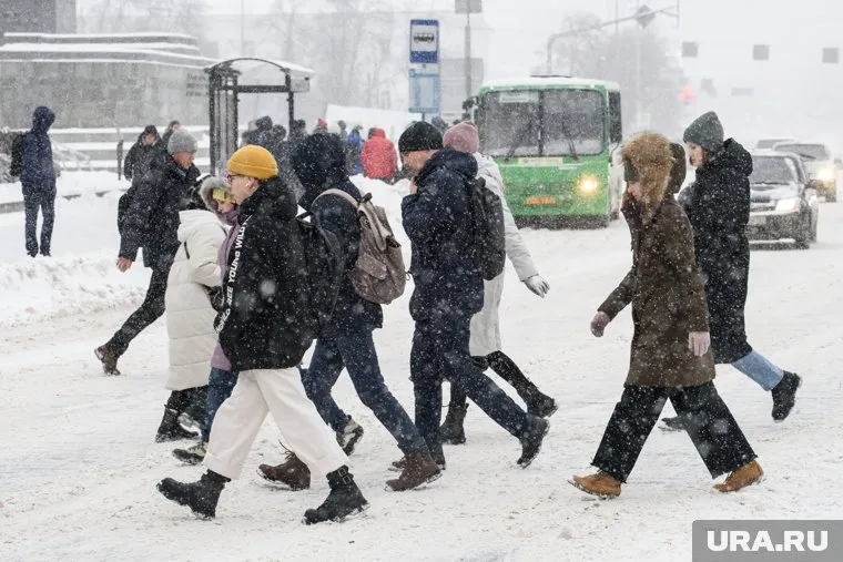 У первой смены тюменских школьников отменили уроки