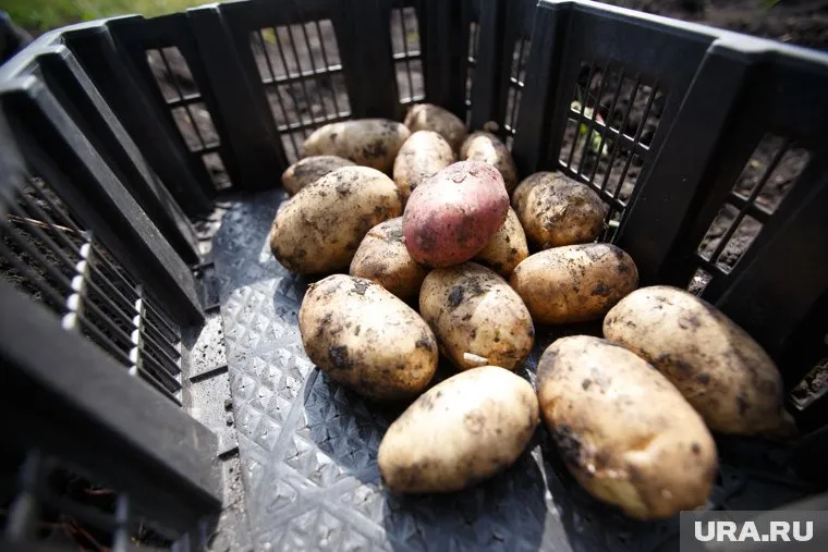 В ведомстве опровергли информацию о готовящихся изменениях