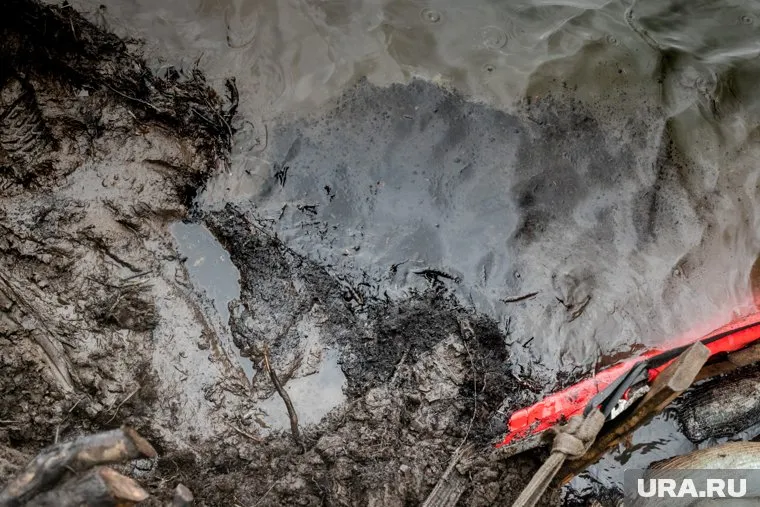 Площадь загрязненных земель составляет более четырех с половиной тысяч квадратных метров