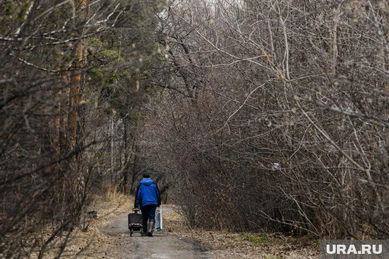 Во время действия противопожарного режима посещение лесов запрещено 