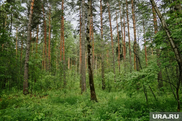 Тело обнаружили недалеко от железнодорожного перегона