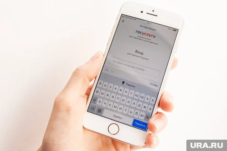 Региональные проекты были утверждены правительством