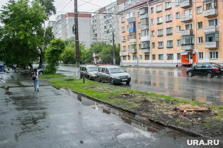 Деревья срубили из соображений безопасности