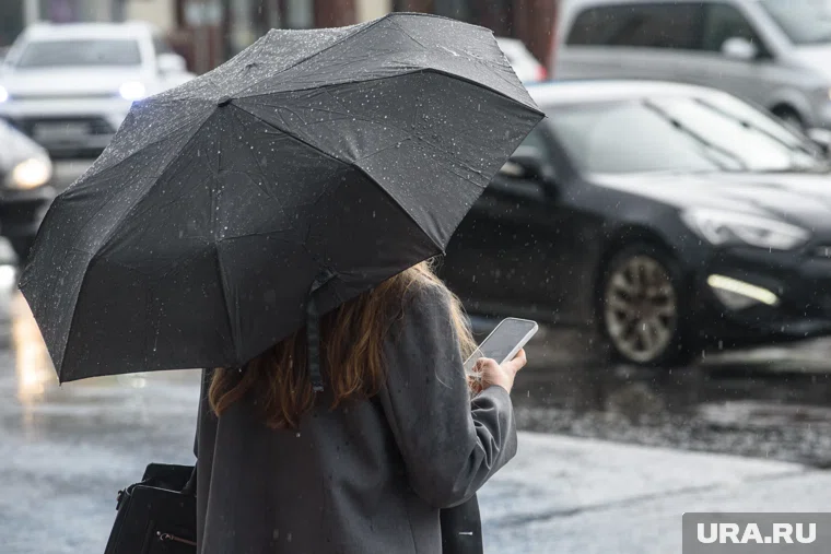 Девушка из Кургана перевела мошенникам полтора миллиона