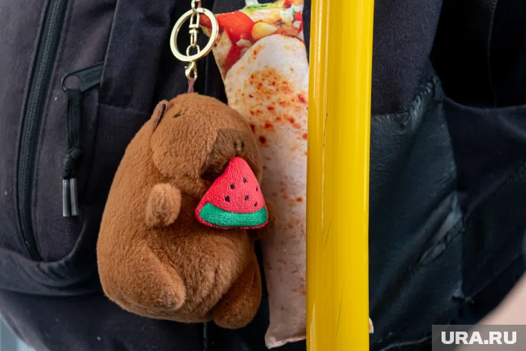 Меры поддержки коснутся студентов, а также детей старше 7 лет, которые еще не поступили в начальную школу