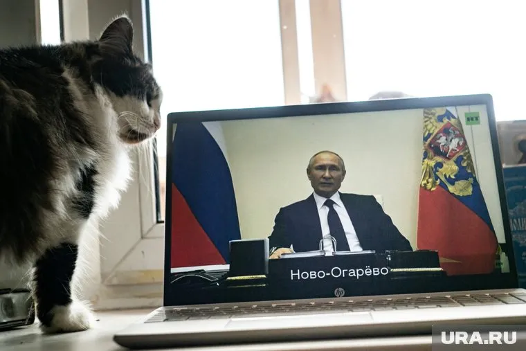 Предложение Владимиру Путину поступило по видеосвязи от обладателей ордена «Родительская слава»