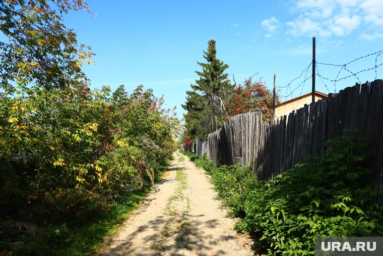 В Югре дачники продают дешевые садовые участки