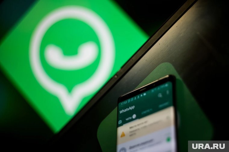 Что нужно сделать, если плохо работает WhatsApp*: как россиянам безопасно перейти на&nbsp;другой мессенджер