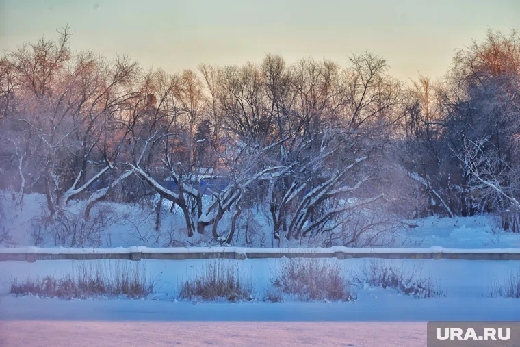 В Шатрово температура опустилась до -38,2 градуса