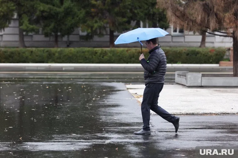 В Кургане ожидаются дожди