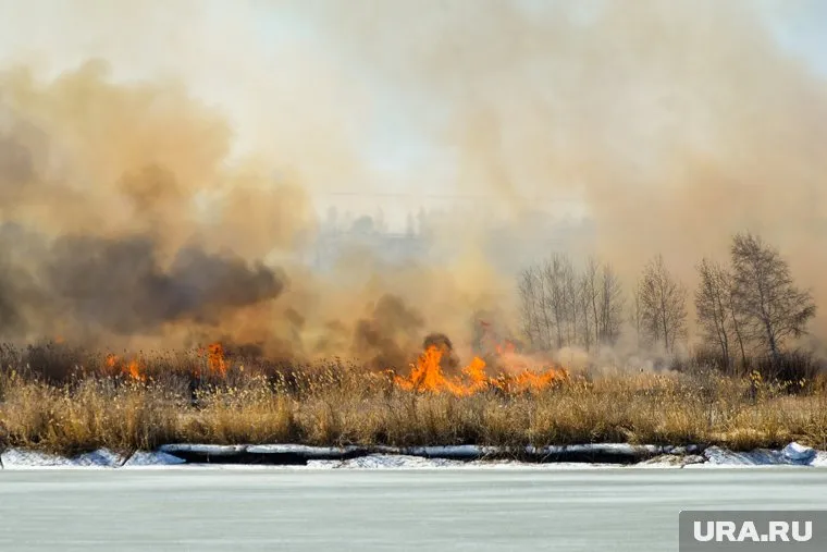 Мужчина занимался палом сухой травы