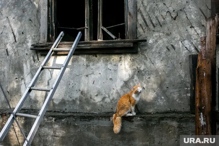 В ноябре 2023 года по вине женщины при пожаре погибли три ребенка