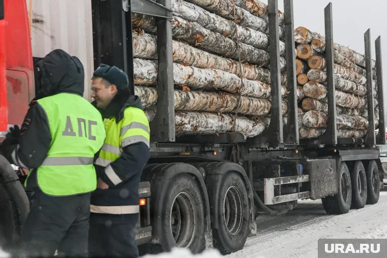 Пермский лес активно вывозят в Китай