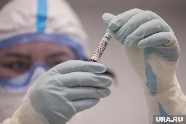 До 3 ноября в России не регистрировали заболевания вирусом «Пирола»