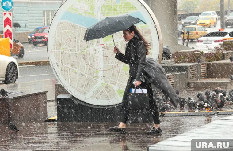 В Росавиации заявили, что рейсы в Москве не станут отменять из-за снега