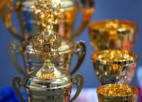 Танцоры из Перми выиграли чемпионат мира по паратанцевальному спорту