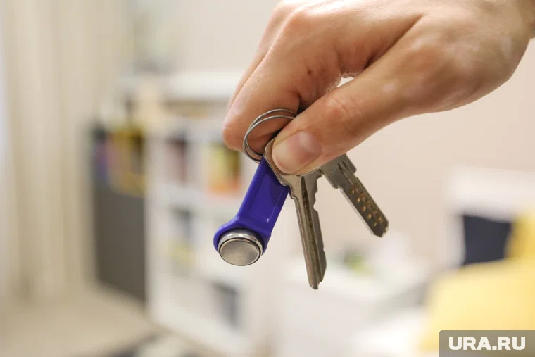 В квартире в Кургане обновят дизайнерский ремонт