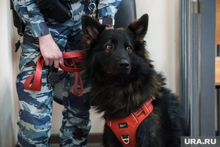 Тюменские силовики пресекли въезд в регион таджиков-извращенцев