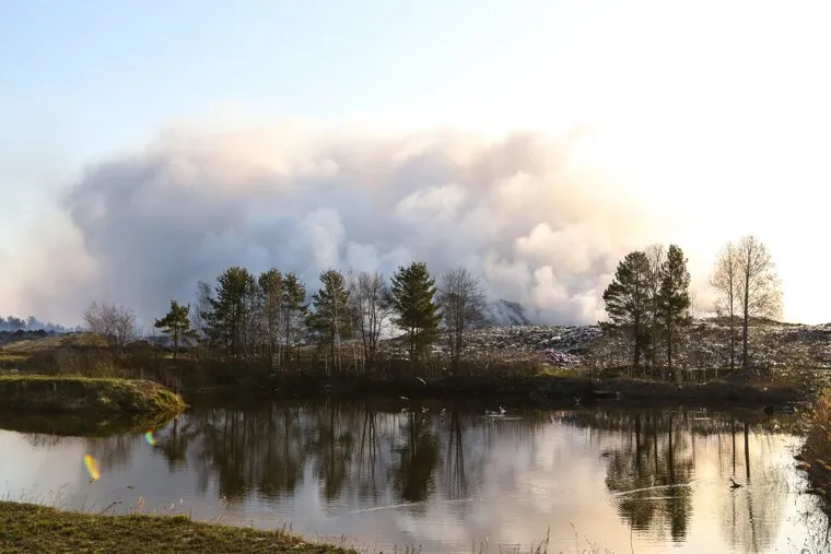 Лесные пожары. Курган