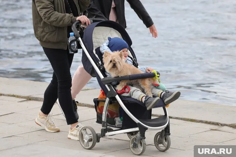 В Госдуме предложили давать выходные родителям младенцев ежемесячно