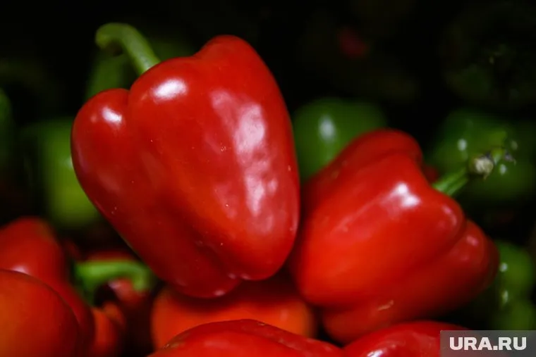 Перец нужно удобрять летом несколько раз