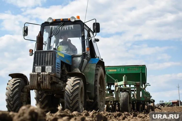 Засыпкин будет курировать правовые вопросы, программы развития и заниматься анализом АПК