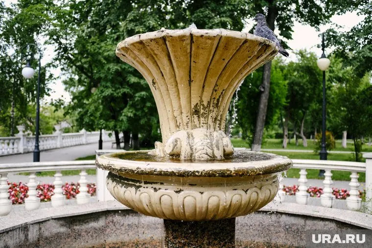 Тюменцы просят администрацию занять Загородным садом