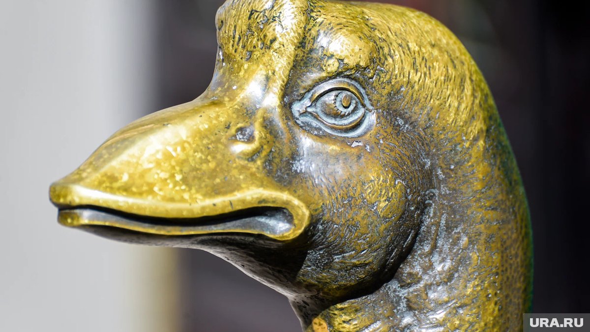 Ular qollarini mushukchaga tirsagigacha yopishadi