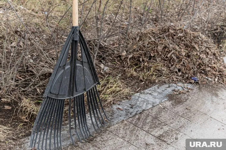 Это был первый весенний субботник в Преображенском парке