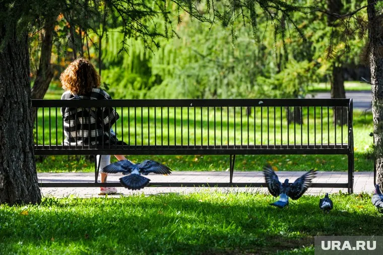 В начале осени в Челябинске установится стабильная погода с переменной облачностью