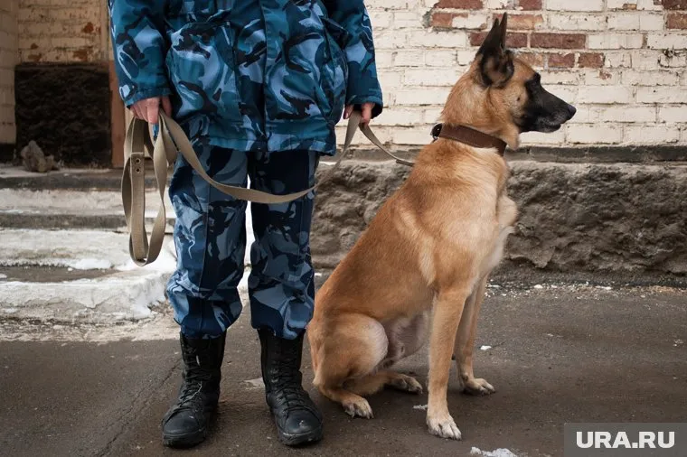 Силовики ищут особо опасных подозреваемых