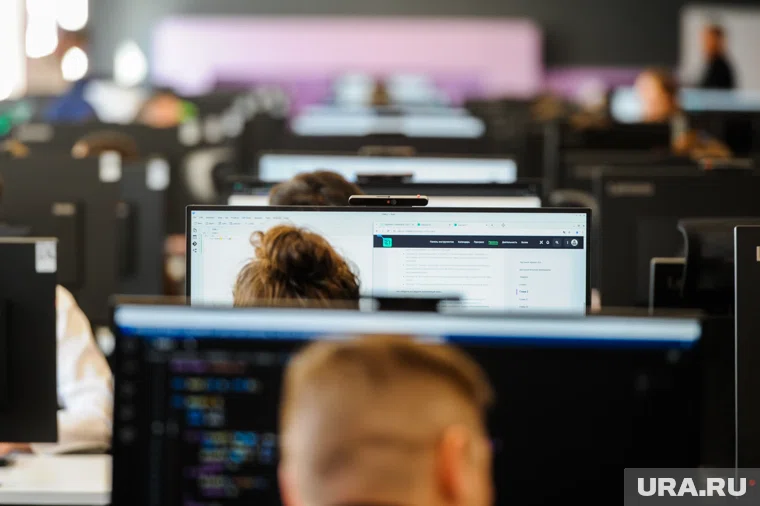 Больше всего сейчас в России востребованы IT-специалисты