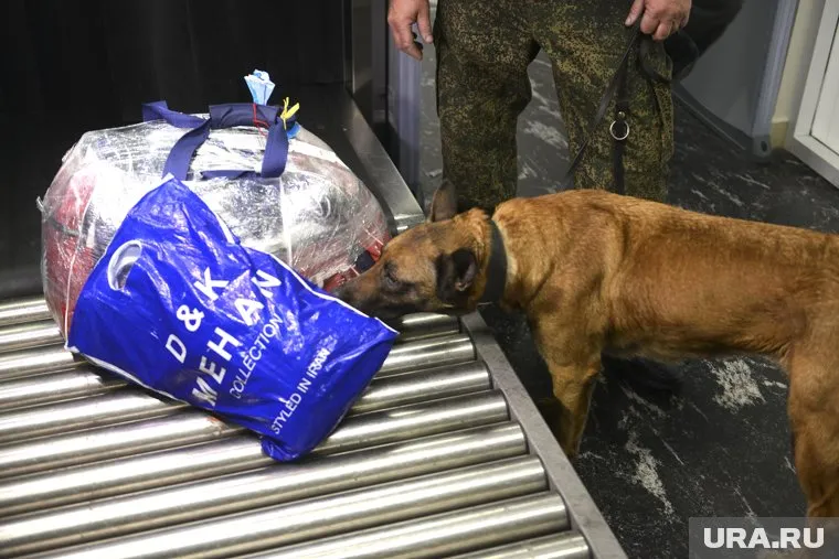 На перевозчика насвая завели административные протоколы